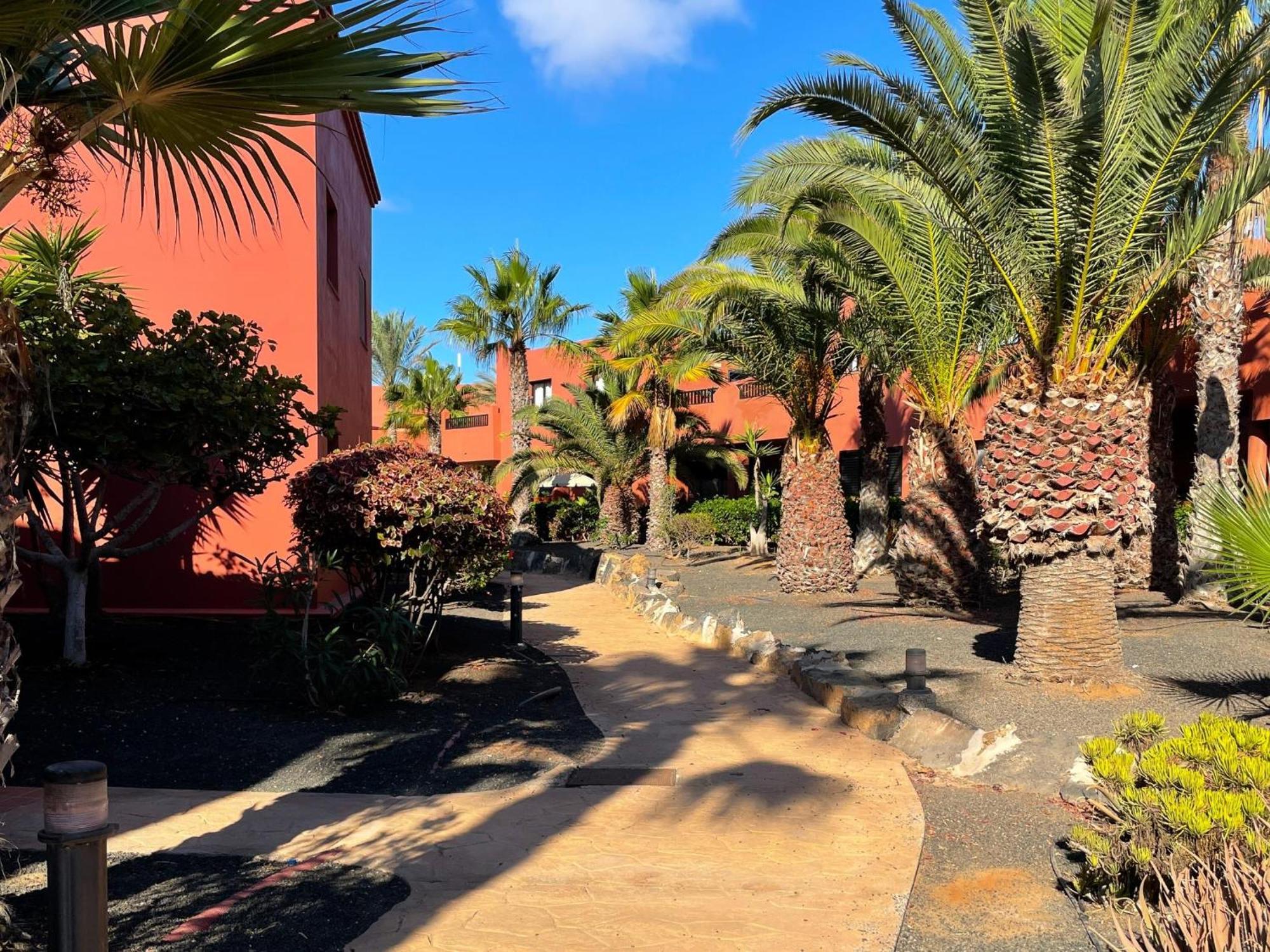 Oasis Tamarindo By Best Holidays Fuerteventura Corralejo Zimmer foto