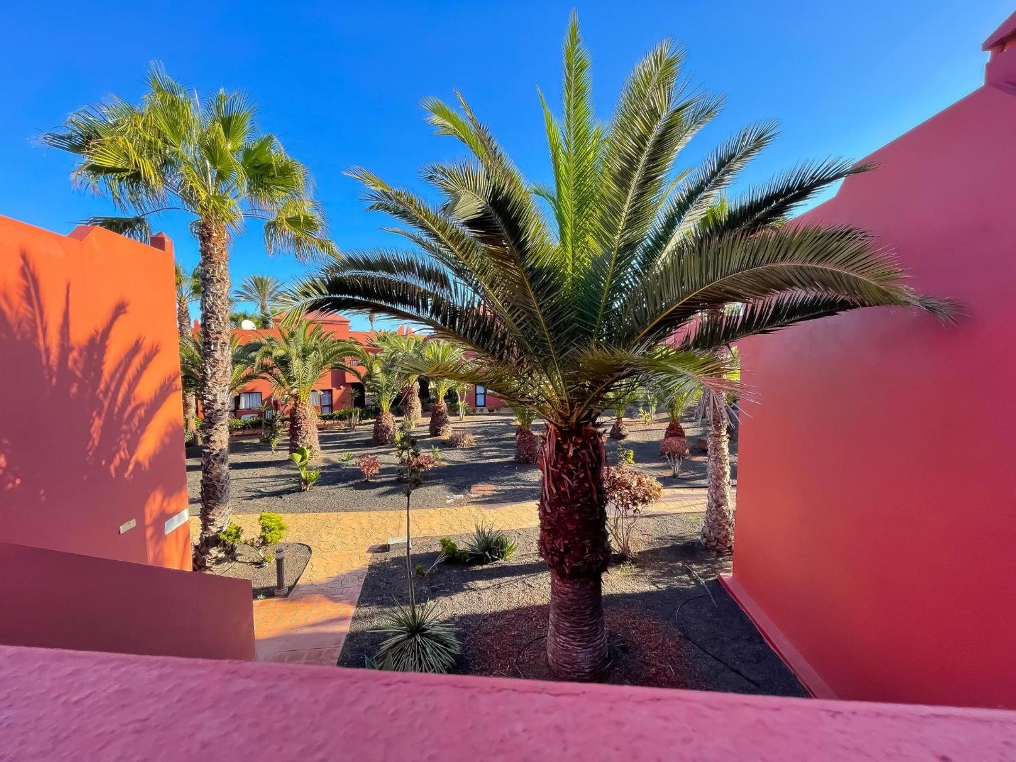 Oasis Tamarindo By Best Holidays Fuerteventura Corralejo Zimmer foto